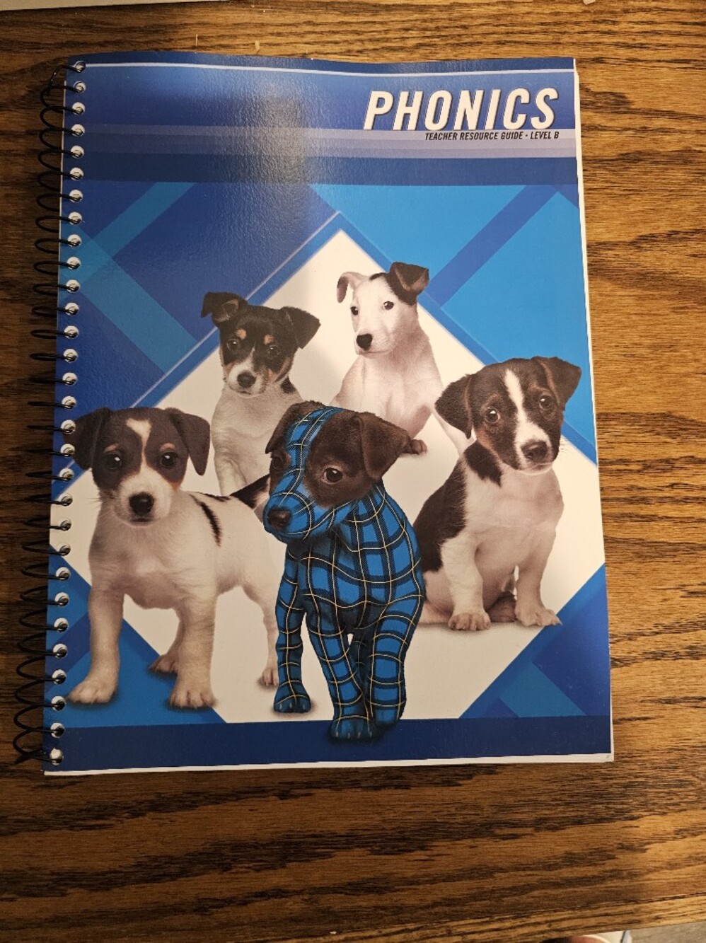 Plaid Phonics Level B, Teacher Resource Guide